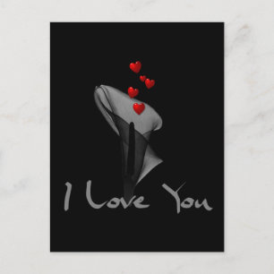 Blutlilie Postkarte