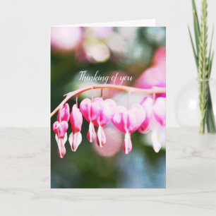 Blutung Herzklopfen Blume Rosa Blumenfotografie Karte