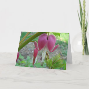 Blutungen Herz Karte