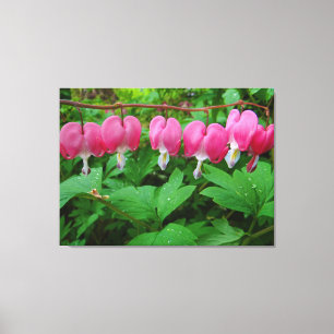 Blutungen Herz Leinwanddruck