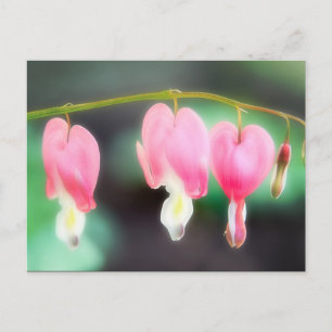 Blutungen Herzen Postkarte