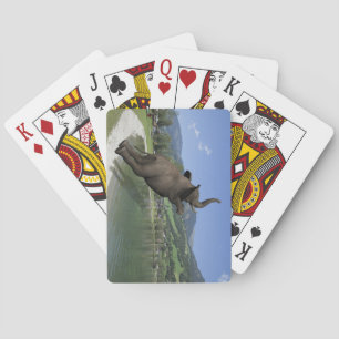 Bly Flop Elephant Spielkarten