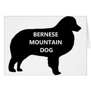 BMD silhouette.png nom