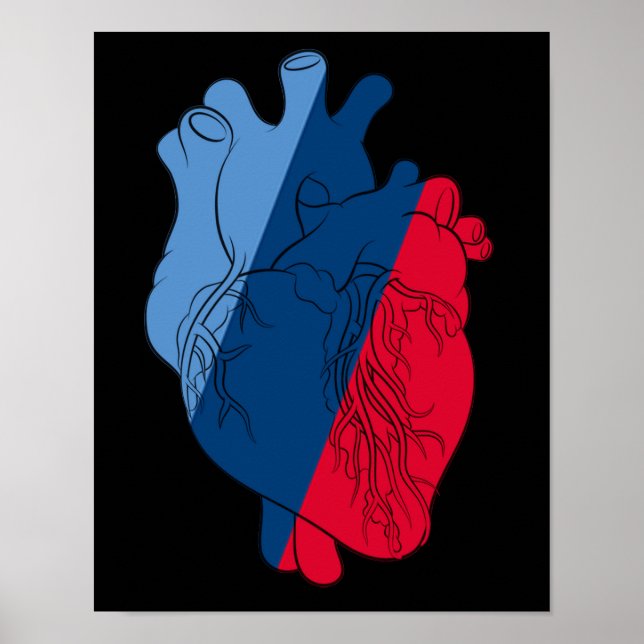 BMW M Power Heart Anatomy Poster (Vorne)