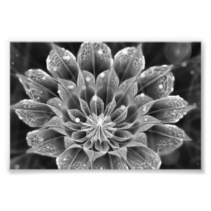 BnW Fraktal-Dahlie-Blume über Elektronenmikroskop Fotodruck