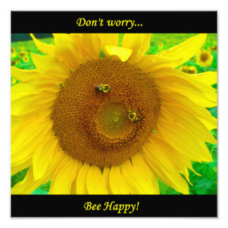 BO1050 12x12 Fotodruck