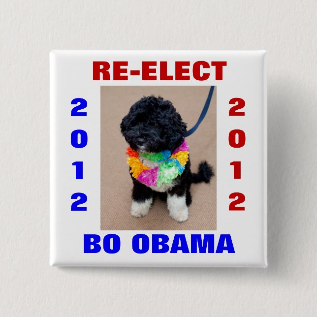 BO OBAMA 2012 BUTTON (Vorderseite)