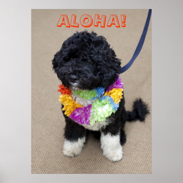 Bo Obama - Aloha Poster (Vorne)