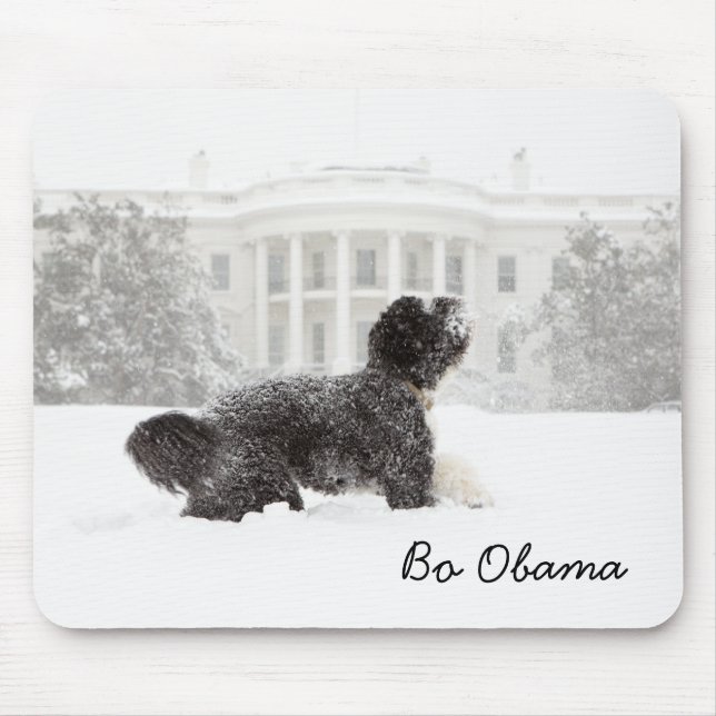 Bo Obama Mousepad (Vorne)