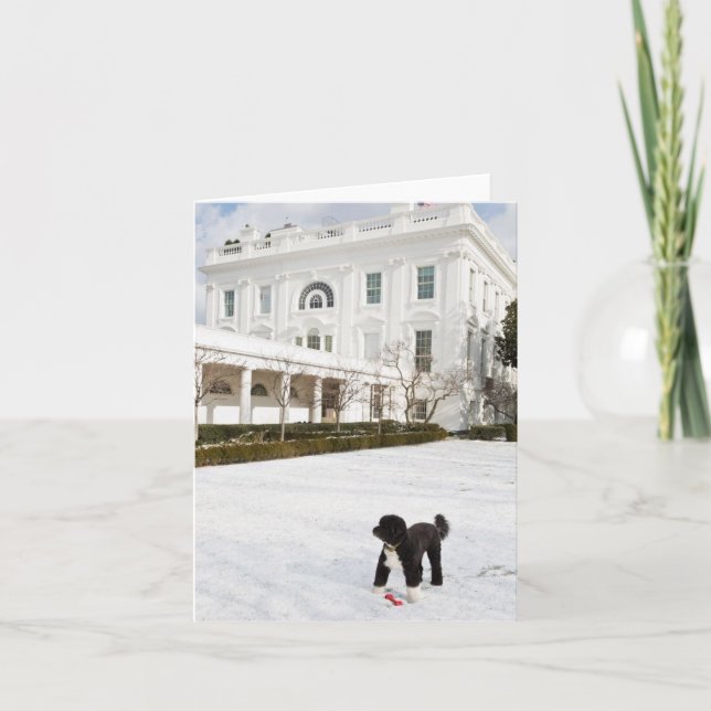 Bo Obama Note Card - Rose Garden Karte (Vorderseite)