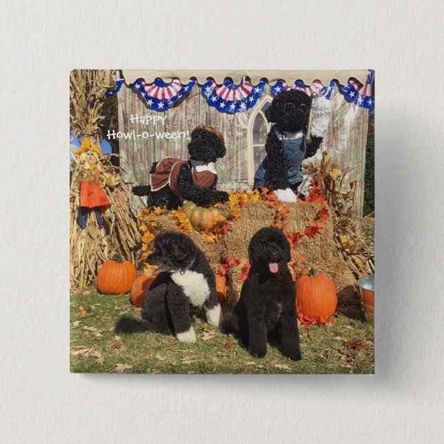 Bo und Sunny Halloween - Button (Vorderseite)