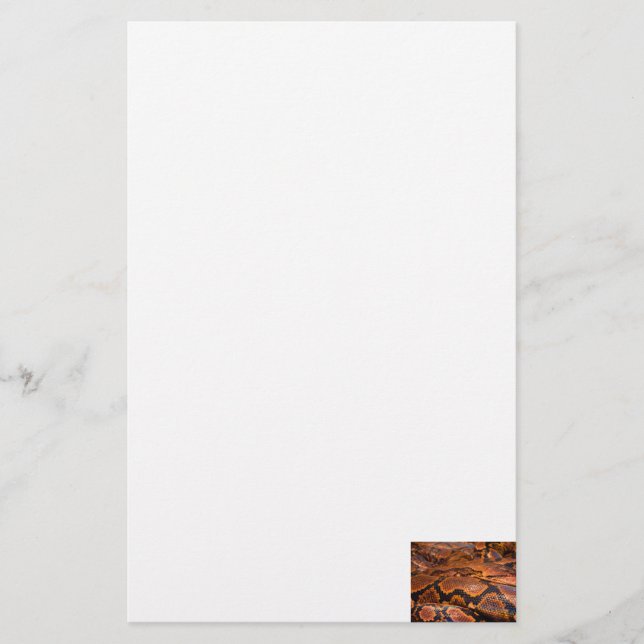Boa constrictor briefpapier (Vorderseite)