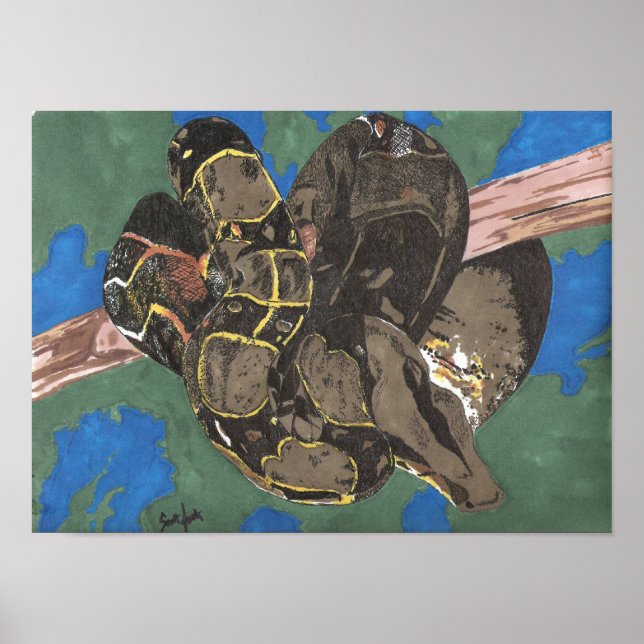 Boa Constrictor Poster (Vorne)