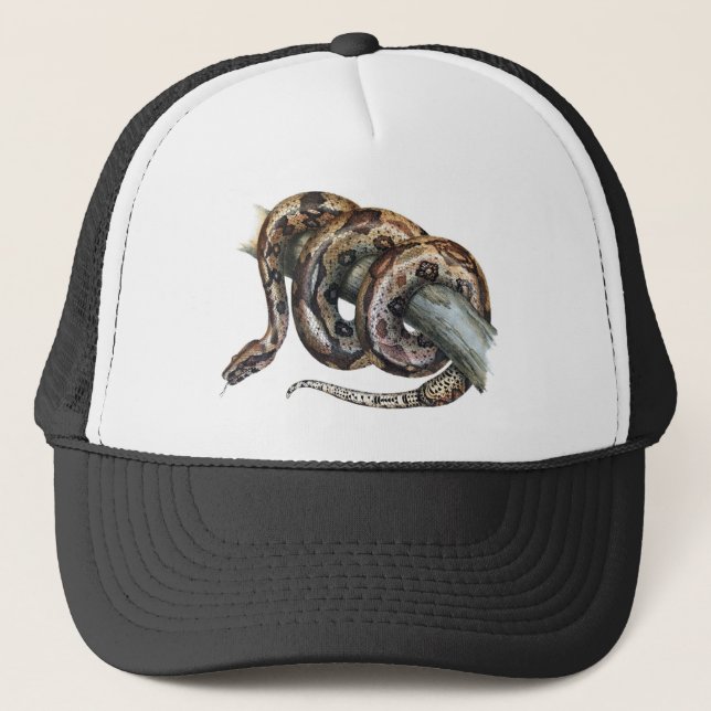 Boa constrictor truckerkappe (Vorderseite)