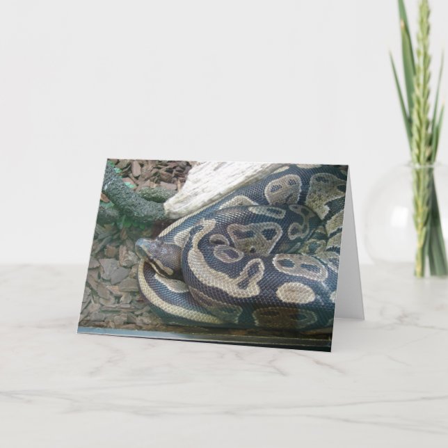 Boa-Schlange Karte (Vorderseite)