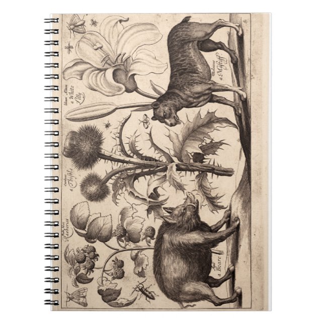 Boar und Mastiff Notizblock (Vorderseite)