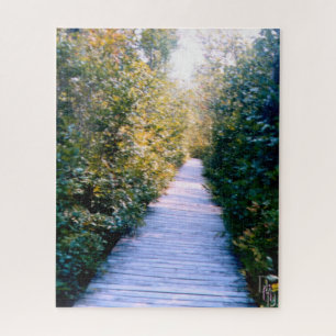 Boardwalk