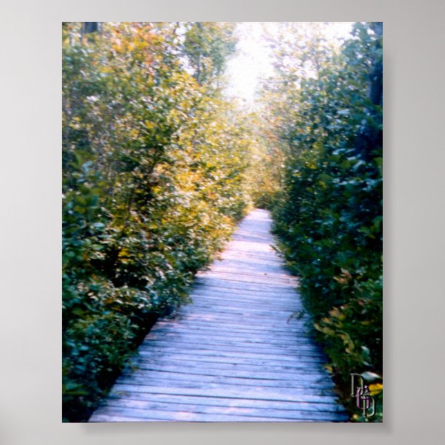 Boardwalk Poster (Vorne)