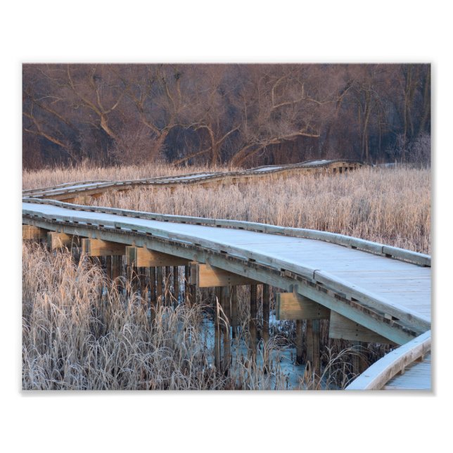Boardwalk-Traverse in den Wald Fotodruck (Vorne)