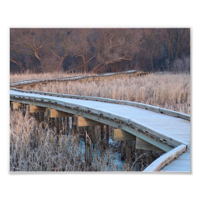 Boardwalk-Traverse in den Wald Fotodruck (Vorne)