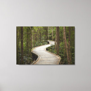 Boardwalk zu Nelson Falls, Franklin - Gordon Leinwanddruck