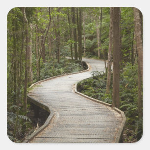 Boardwalk zu Nelson Falls, Franklin - Gordon Quadratischer Aufkleber