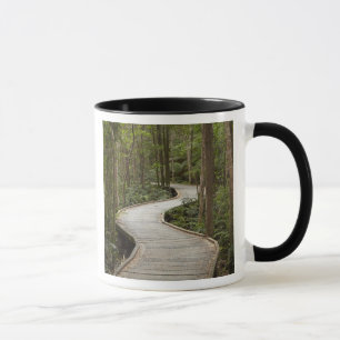 Boardwalk zu Nelson Falls, Franklin - Gordon Tasse