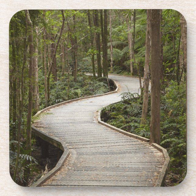 Boardwalk zu Nelson Falls, Franklin - Gordon Untersetzer (Vorderseite)