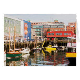 Boats Moored Portland, Maine