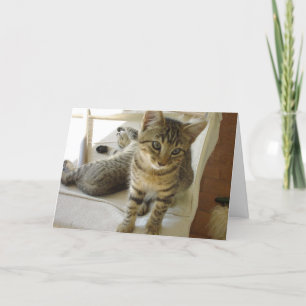 Bob-Katzen-Geburtstags-Karte Karte