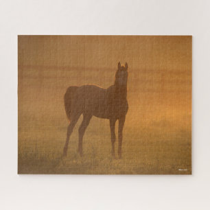 Bob Langrish   Arabisch Stehend in Nebel