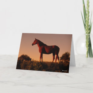 Bob Langrish Arabisch Stehend in Sunset Karte