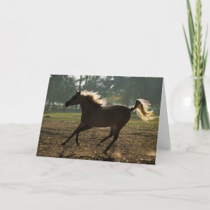 Bob Langrish Arabischer Running Backlit Karte