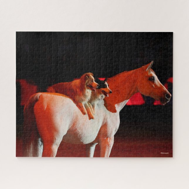 Bob Langrish | Arabisches Pferd Stehend mit Hunden (Horizontal)