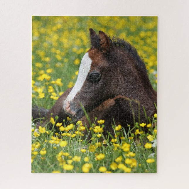 Bob Langrish | Ausruhen von Pony Foal in Blume (Vertikal)
