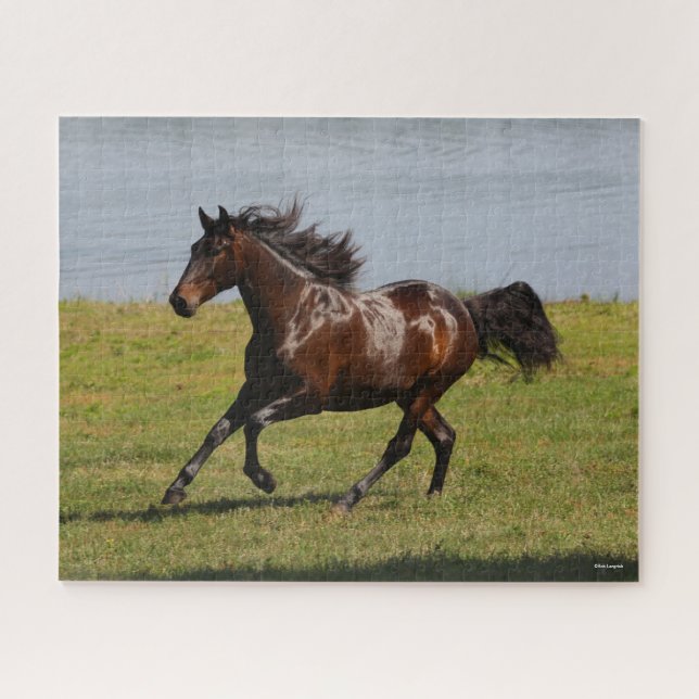Bob Langrish | Bay Lusitano Mare Running nahe dem  (Horizontal)