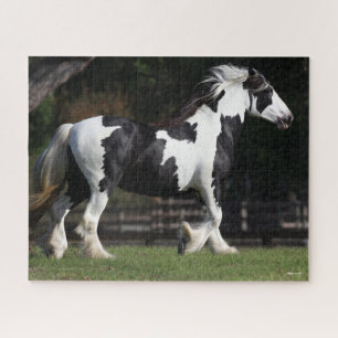 Bob Langrish Black and White Sinti und Roma Vanner