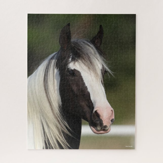 Bob Langrish Black and White Sinti und Roma Vanner (Vertikal)