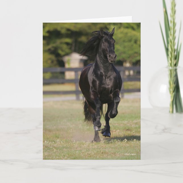 Bob Langrish | Black Friesian Horse Running Karte (Vorderseite)