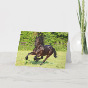 Bob Langrish Black Friesian Running Karte