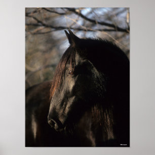 Bob Langrish Black Tennessee Walker Headshot Poster
