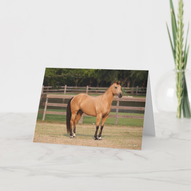 Bob Langrish | Buckskin Quarter Horse Stehend Karte (Vorderseite)
