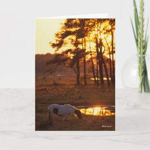 Bob Langrish Chincoteague Horzing Karte