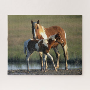 Bob Langrish Chincoteague Mare and Foal Stehend