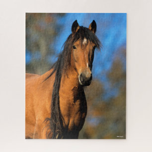 Bob Langrish   Choctaw Pony Headshot