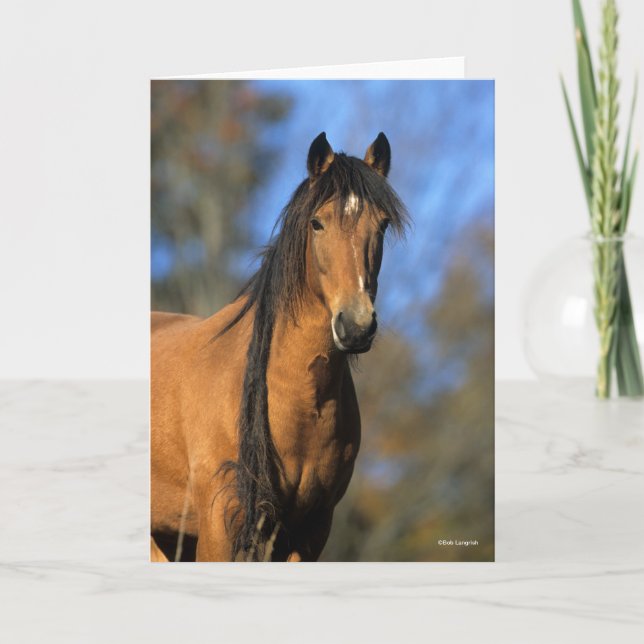 Bob Langrish | Choctaw Pony Headshot Karte (Vorderseite)