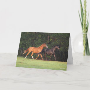 Bob Langrish Deutsches Reitpony und Oldenburg Karte