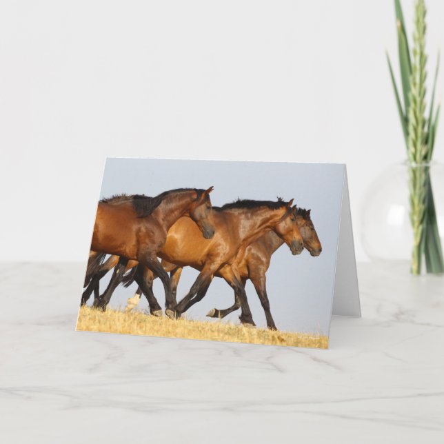 Bob Langrish | Drei andalusische Mares laufen Karte (Vorderseite)