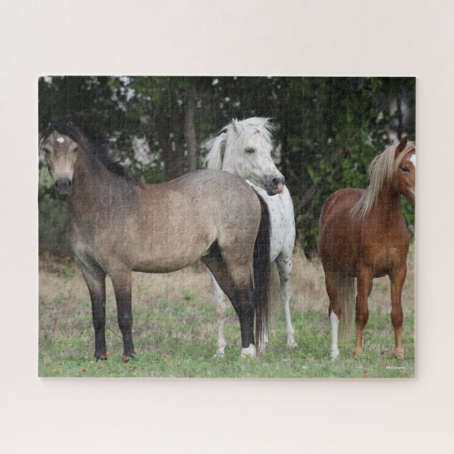 Bob Langrish | Drei miteinander Stehende Ponys (Horizontal)