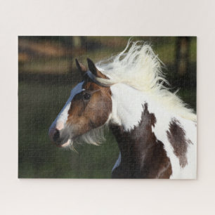 Bob Langrish Drum Horse Headshot